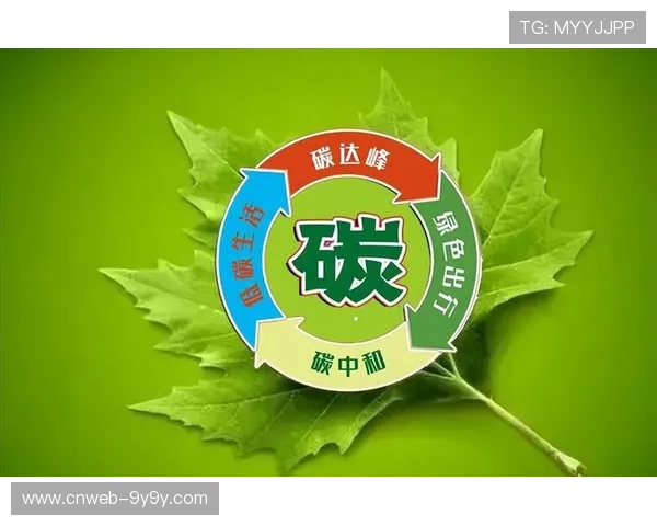 碳积分机制激励参与者减排 培养绿色行为习惯